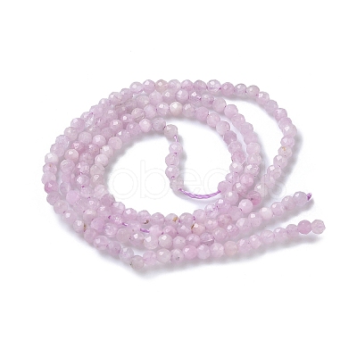 Natural Kunzite/Spodumene Beads Strands G-L651-C12-2mm-01-1
