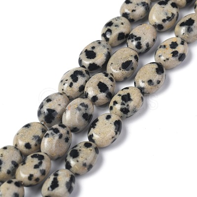 Natural Dalmatian Jasper Beads Strands G-Z006-A31-1