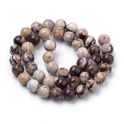 Natural Zebra Jasper Beads Strands G-S259-30-6mm-1