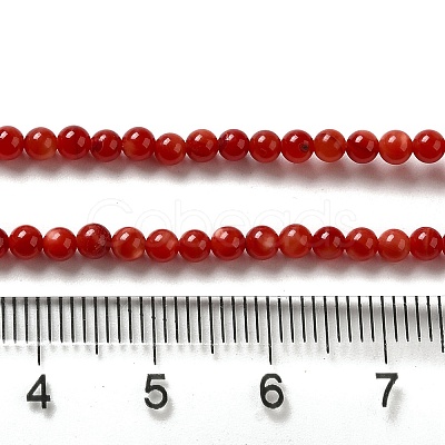 Natural Freshwater Shell Beads Strands SHEL-H003-03G-1