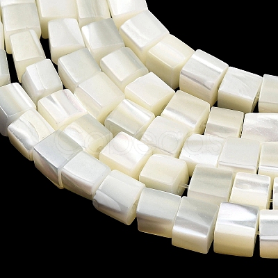 Natural Trochid Shell/Trochus Shell Beads Strands SHEL-C010-05A-1