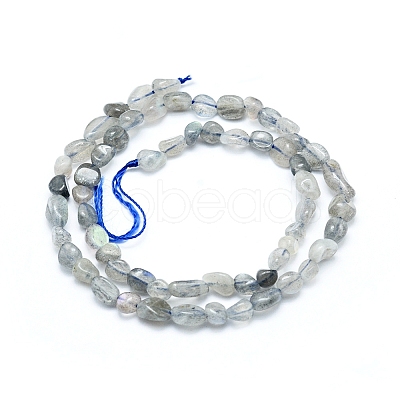 Natural Labradorite Beads Strands X-G-L550A-06-1