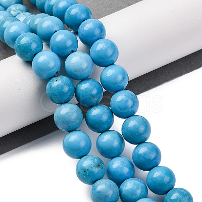Dyed Natural Magnesite Beads Strands G-P558-A01-01A-1