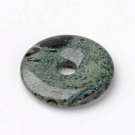 Natural Kambaba Jasper Pendants G-K099-30mm-1