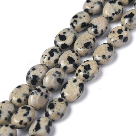 Natural Dalmatian Jasper Beads Strands G-Z006-A31-1
