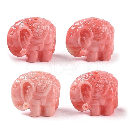 Synthetic Shell Dyed Carved Beads SHEL-H005-12-1