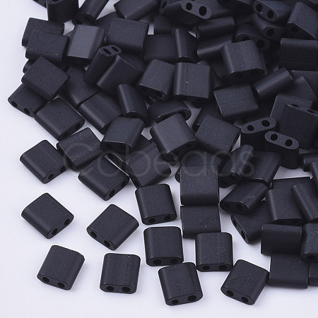 FGB 2-Hole Glass Seed Beads SEED-S031-L-049F-1