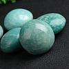 Natural Amazonite Palm Stones PW-WG58179-01-4