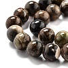 Round Natural Ocean Agate/Ocean Jasper Beads Strands G-O199-02B-3