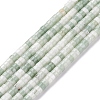 Natural Green Spot Jasper Beads Strands G-L528-13-1