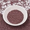 MIYUKI Delica Beads X-SEED-J020-DB1167-2