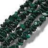 Natural Malachite Beads Strands G-G0003-B41-1