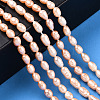 Natural Cultured Freshwater Pearl Beads Strands PEAR-N012-03M-6