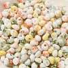 Baking Paint Glass Seed Beads X1-SEED-F006-01A-11-3