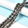 Tibetan Style dZi Beads Strands G-F726-A02-2