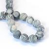 Frosted Natural Black Silk Stone/Netstone Round Bead Strands G-E334-8mm-25-3