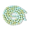 Baking Paint Glass Bead Strands GLAA-H031-01C-08-3