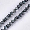 Natural Hawk's Eye Beads Strands X-G-S333-4mm-027-1