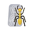 DIY Display Silicone Molds DIY-P074-07B-1