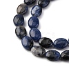 Natural Sodalite Beads Strands G-Z006-A39-4