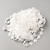 Polyester Lace Ribbon OCOR-WH0111-138A-2