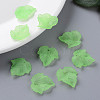 Autumn Theme Transparent Frosted Acrylic Pendants PAF002Y-28-7