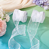 Polyester Deco Mesh Ribbons OCOR-TAC0024-004E-6