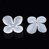 Transparent Acrylic Beads X-FACR-N005-003-3