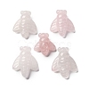 Natural Rose Quartz Display Decorations DJEW-P019-B01-1