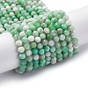 Natural Chrysoprase Beads Strands G-G195-A02-03-2