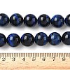 Natural Tiger Eye Bead Strands G-P230-08-B-14mm-2