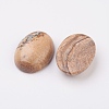 Natural Picture Jasper Flat Back Cabochons G-G741-30x40mm-07-2