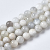 Natural White Moonstone Beads Strands G-N328-51A-01-2