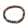 Natural Polychrome Jasper/Picasso Stone/Picasso Jasper Bead Stretch Bracelets BJEW-K212-A-001-1