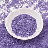 MIYUKI Delica Beads X-SEED-J020-DB1753-2