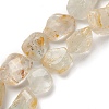 Natural White Topaz Beads Strands G-C027-01-2