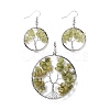 Brass Jewelry Sets SJEW-K072-20V-1