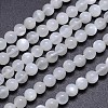 Natural White Moonstone Round Bead Strands G-M262-5mm-04-1