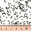 11/0 FGB Grade A Baking Paint Glass Seed Beads X-SEED-N001-A-1040-3