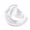 Natural White Shell Beads Sets SSHEL-N032-52B-02-4