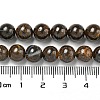 Natural Boulder Opal Beads Strands G-P544-A01-02-5