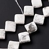 Natural Howlite Beads Strands G-L239-14-6