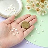 30Pcs Natural Freshwater Shell Beads SHEL-CJ0001-29-4