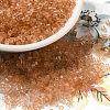 Transparent Glass Seed Beads SEED-S042-21B-05-1