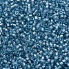 MIYUKI Delica Beads X-SEED-J020-DB2383-3