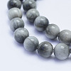 Natural Hawk's Eye Beads Strands G-L478-03-8mm-2