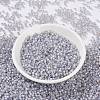MIYUKI Round Rocailles Beads SEED-JP0009-RR0576-2