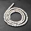 Natural Rainbow Moonstone Beads Strands G-RM2025-31-3mm-3