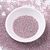 MIYUKI Delica Beads SEED-J020-DB0256-2