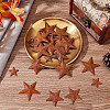 30Pcs 3 Style Rust Iron Pendants IFIN-GF0001-28-7